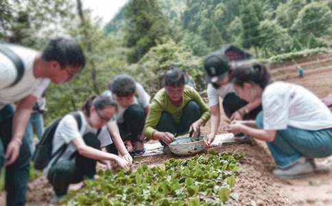 暑期三下乡社会实践报告集锦