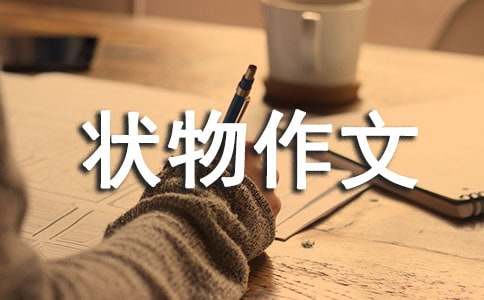 关于状物作文集锦五篇