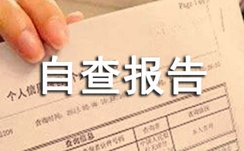 2023年个人自查报告锦集