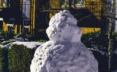 关于冬天的雪景作文合集五篇