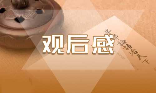 优秀安全教育生命观后感800字范文