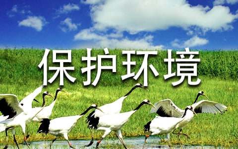 建议保护环境的建议书模板15篇