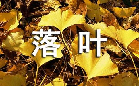 精选落叶作文八篇