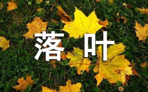 关于落叶作文【荐】