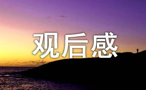 《学爸》观后感（通用5篇）