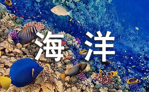 【精】海洋作文300字