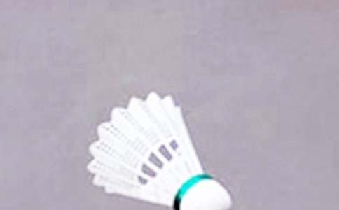 大学趣味羽毛球活动的策划书（精选10篇）