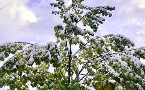 关于下雪天安全通知范文11篇