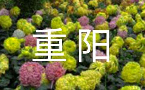 【实用】九九重阳作文300字29篇