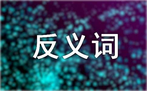 大班语言教案《相应的反义词》反思