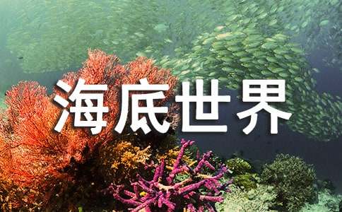 厦门海底世界作文