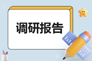 调研报告方案模板