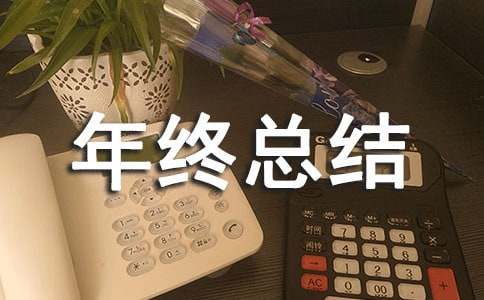 总监理工程师个人年终总结（通用14篇）