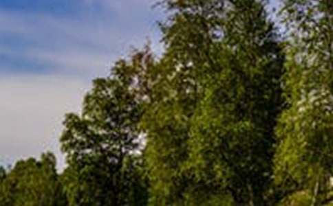 一道美丽的风景线作文700字(精选30篇)