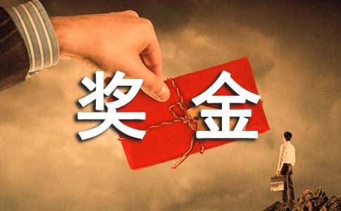 我赚的人生第一笔奖金小学作文