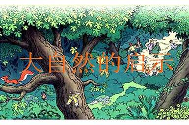 大自然的启示作文(锦集15篇)