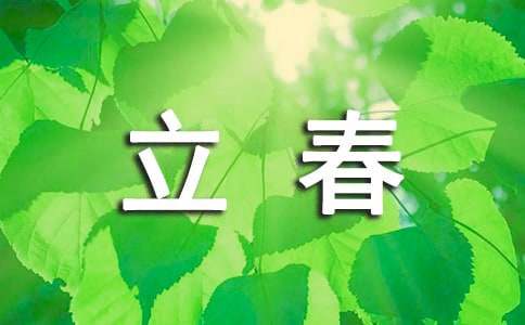 有关立春作文300字（精选40篇）