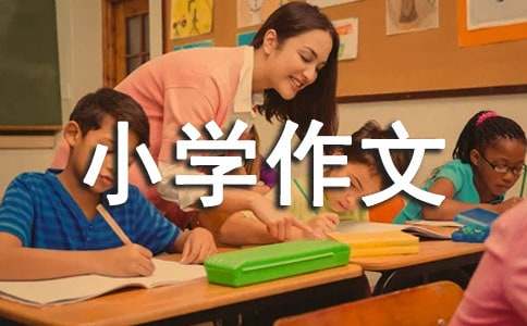 精选小学作文600字20篇