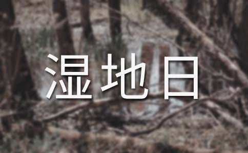 世界湿地日宣传活动总结范文（通用10篇）