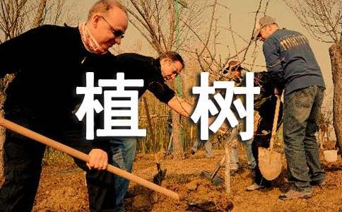 五年级《植树问题》教学设计（通用11篇）