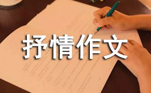 抒情作文：书，就像一座宝藏作文800字（精选20篇）