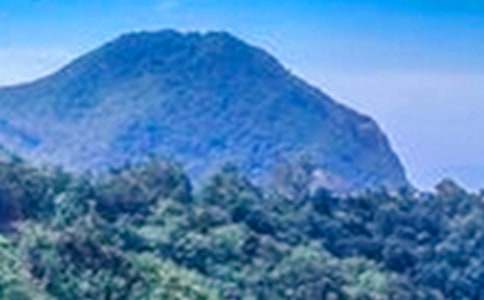 以大山为话题的记叙文（精选24篇）