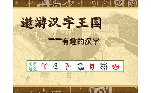 遨游汉字王国作文（精华）