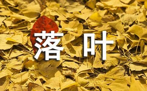 精选落叶作文400字17篇