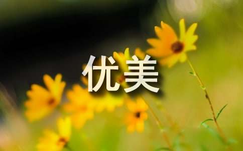 二十四节气春分干净优美语录（精选270句）