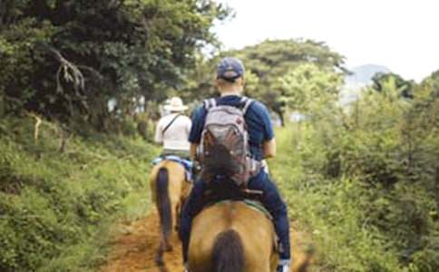 我在辉腾锡勒大草原骑马