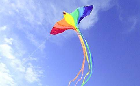 学校放风筝比赛作文（通用18篇）