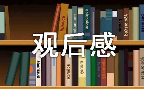 道路交通安全宣传片观后感范文500字（通用17篇）