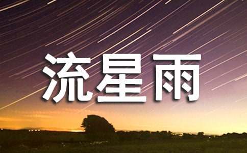 关于流星雨作文300字（精选17篇）