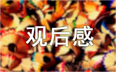 《阿甘正传》观后感2500字（精选16篇）