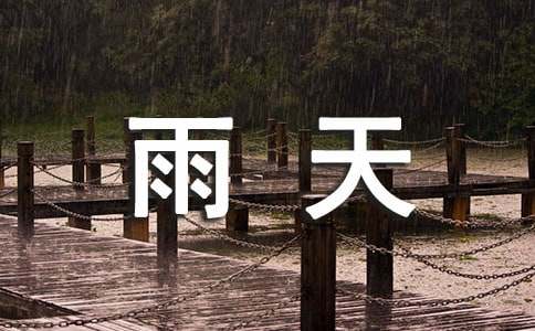 雨天日记100字（精选24篇）