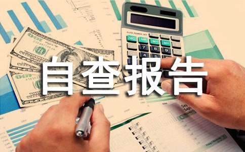 小学语言文字工作自查报告（通用10篇）