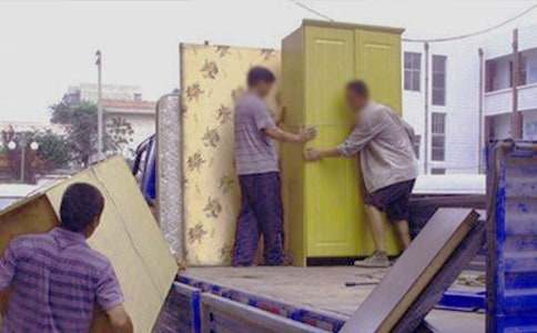 【热门】蚂蚁搬家的启示作文