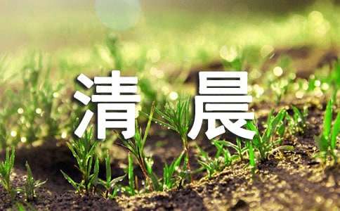 田园清晨风光