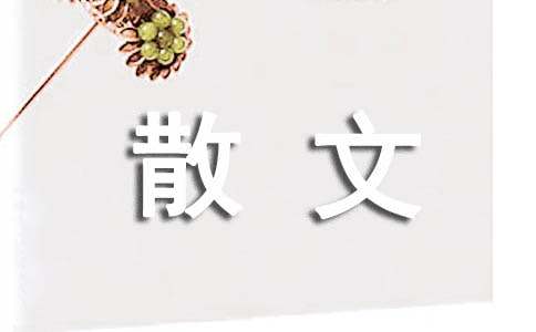 四叶草散文诗歌