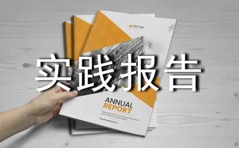 进厂暑假社会实践报告（通用24篇）