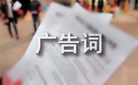 皮装的广告词80句
