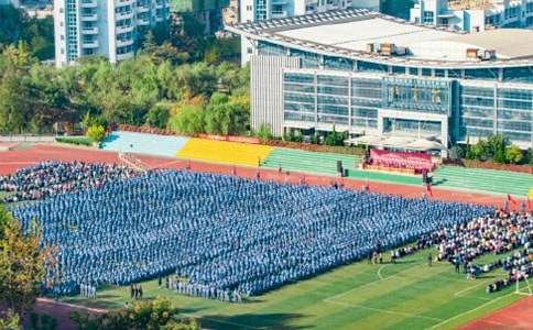 开学典礼作文（精选31篇）