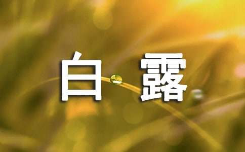 白露的手抄报内容