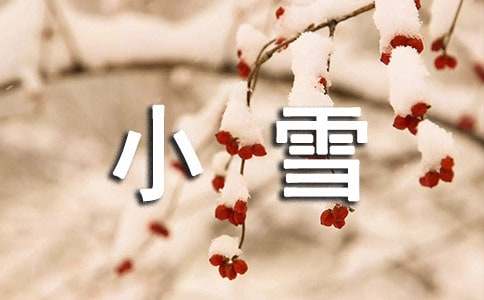 介绍节气小雪的日记作文（精选10篇）