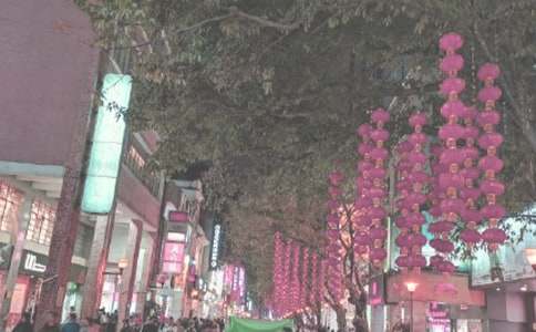 花城广场的夜色真美二年级作文450字（精选5篇）