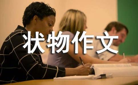 我的房间状物作文200字（精选22篇）