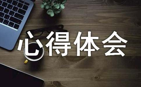 道德心得体会作文