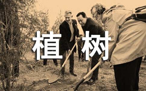 小学一年级春天植树的作文（通用24篇）