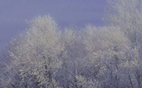二十四节气小雪主持稿（精选17篇）