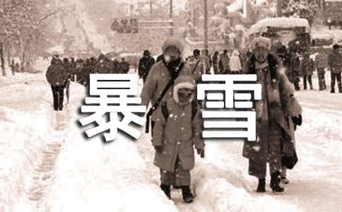 跟踪暴雪的卫星五年级优秀作文（通用15篇）